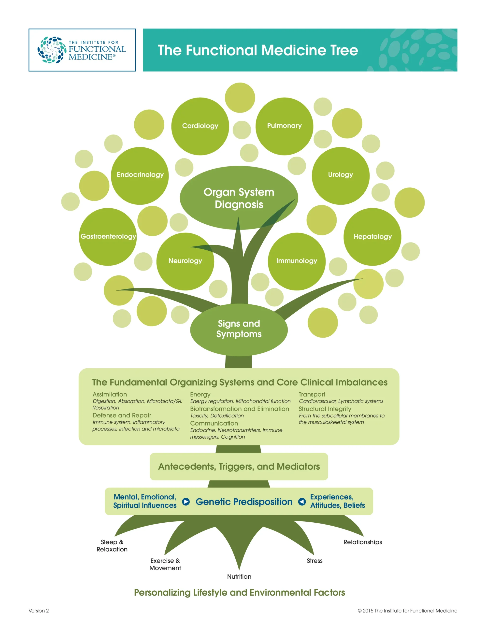 Functional Medicine Tree Functional Medicine Tree